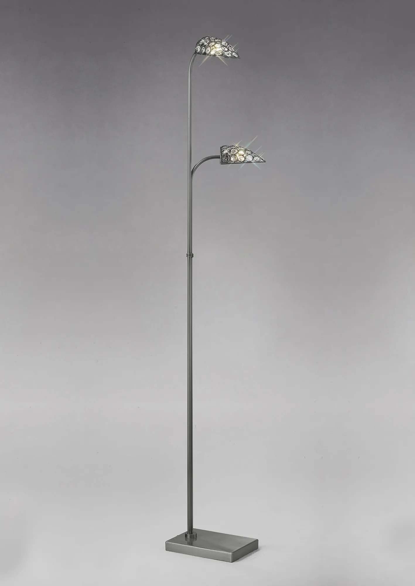 IL20708  Ashton Crystal Floor Lamp 2 Light